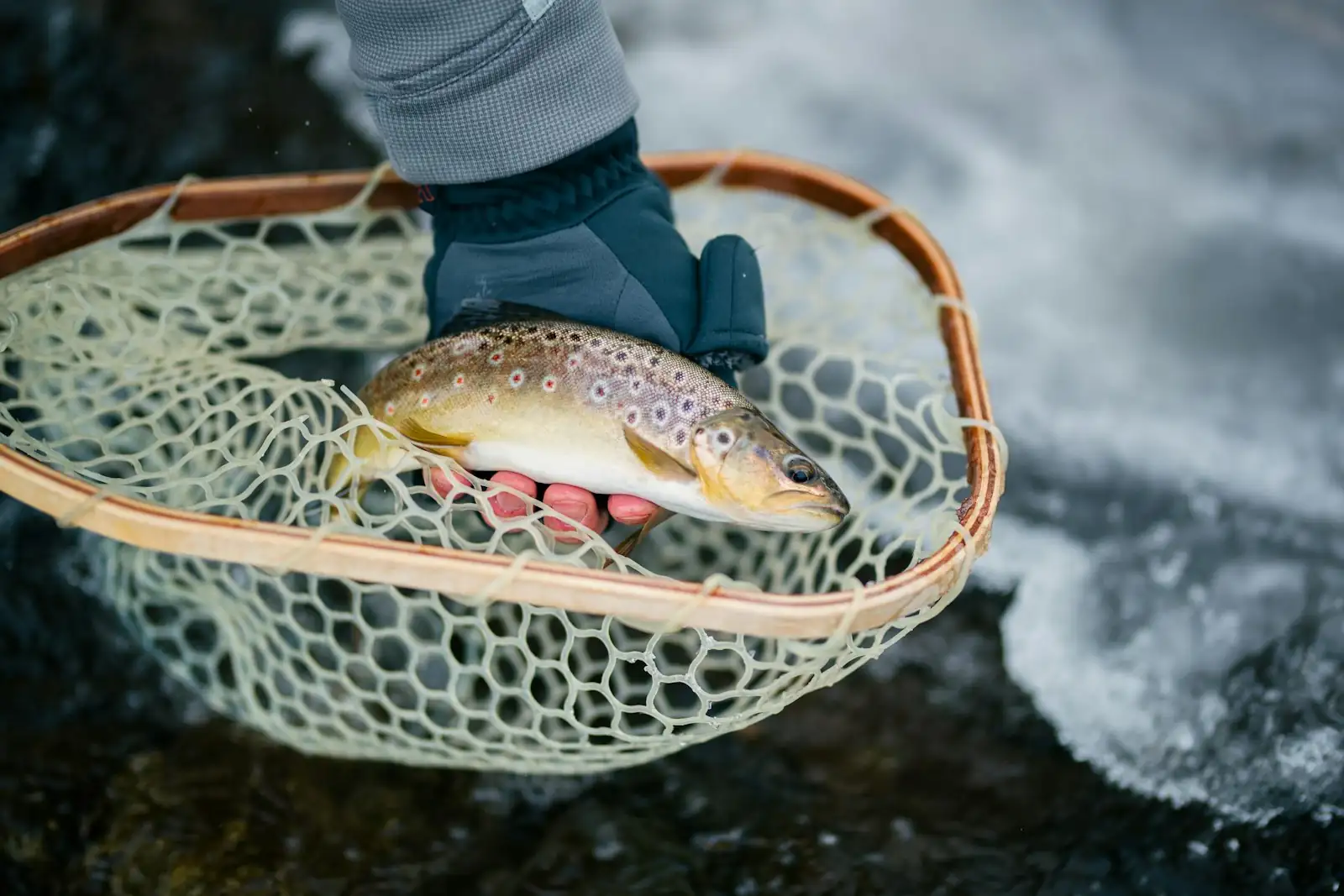 Fly fishing on an Irish river at first light